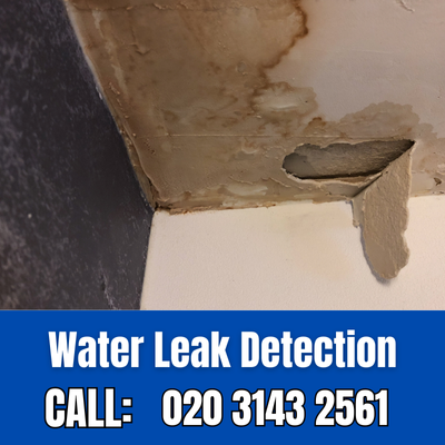 Expert Water Leak Detection Services in Leavesden | Leavesden Leak Detection